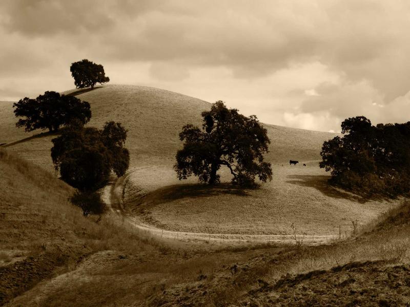 sudoku multiple solutions screenshot 1