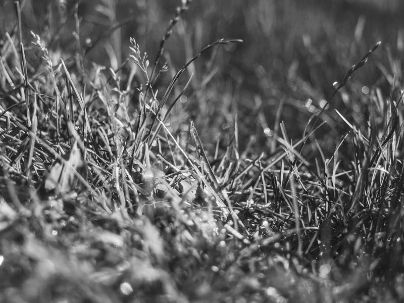 sudoku learning tool screenshot 4